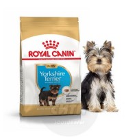 ROYAL CANIN Yorkshire Terrier